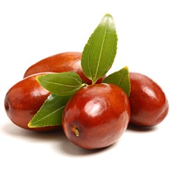 Zizyphys Jujube